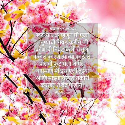 Picture 04 - गणना 17:5 MARIRV - खरा याजक म्हणून मी - Bible Verse Picture