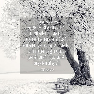 Picture 04 - गणना 17:6 MARIRV - म्हणून मोशे - Bible Verse Picture