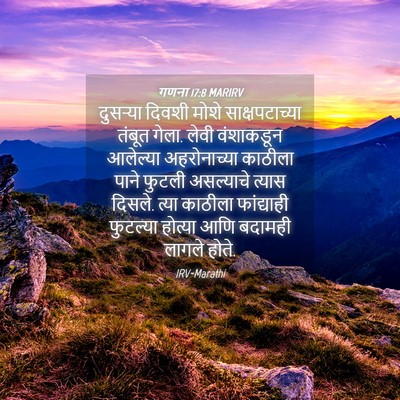 Picture 04 - गणना 17:8 MARIRV - दुसऱ्या दिवशी - Bible Verse Picture