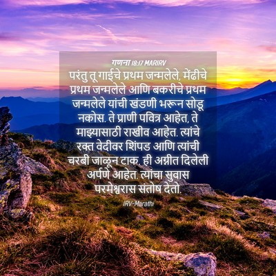 Picture 04 - गणना 18:17 MARIRV - परंतु तू गाईचे - Bible Verse Picture