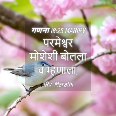 Picture 04 - गणना 18:25 MARIRV - परमेश्वर मोशेशी - Bible Verse Picture