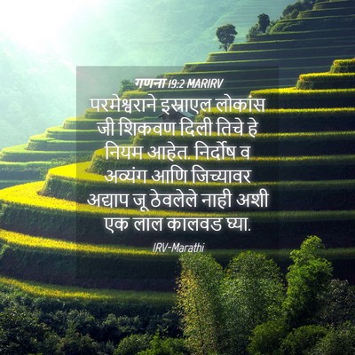 Picture 04 - गणना 19:2 MARIRV - परमेश्वराने - Bible Verse Picture