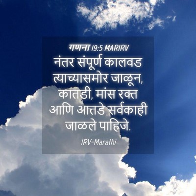 Picture 04 - गणना 19:5 MARIRV - नंतर संपूर्ण - Bible Verse Picture