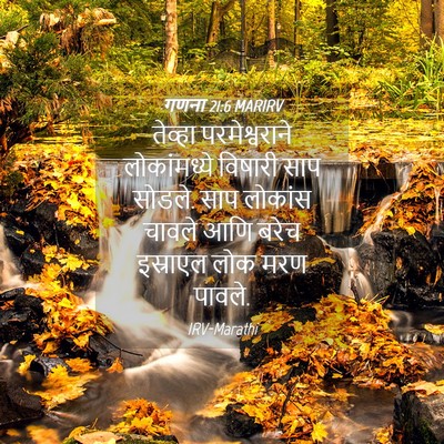 Picture 04 - गणना 21:6 MARIRV - तेव्हा - Bible Verse Picture