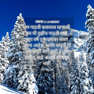 Picture 04 - गणना 22:30 MARIRV - पण गाढवी बलामास - Bible Verse Picture