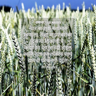 Picture 04 - गणना 23:27 MARIRV - नंतर बालाक बलामास - Bible Verse Picture