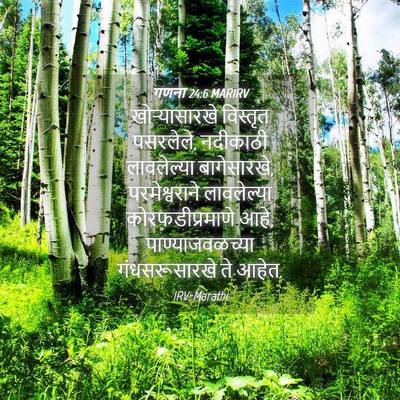 Picture 04 - गणना 24:6 MARIRV - खोऱ्यासारखे - Bible Verse Picture