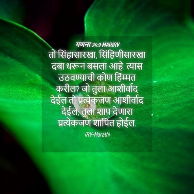 Picture 04 - गणना 24:9 MARIRV - तो सिंहासारखा, - Bible Verse Picture