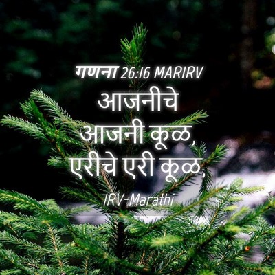 Picture 04 - गणना 26:16 MARIRV - आजनीचे आजनी कूळ, - Bible Verse Picture