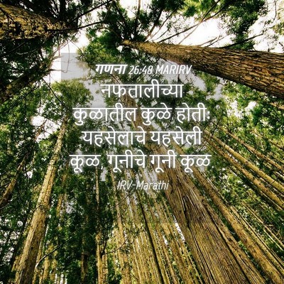 Picture 04 - गणना 26:48 MARIRV - नफतालीच्या - Bible Verse Picture