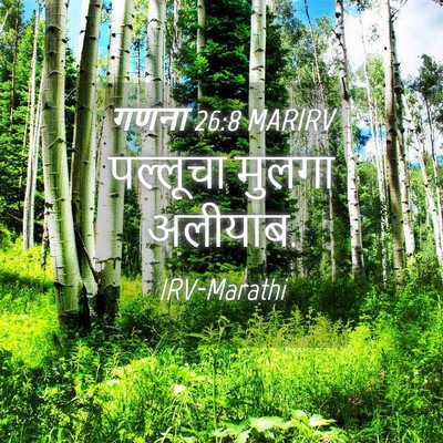 Picture 04 - गणना 26:8 MARIRV - पल्लूचा मुलगा - Bible Verse Picture