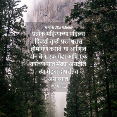 Picture 04 - गणना 28:11 MARIRV - प्रत्येक - Bible Verse Picture
