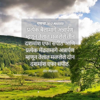Picture 04 - गणना 28:12 MARIRV - प्रत्येक बैलामागे - Bible Verse Picture