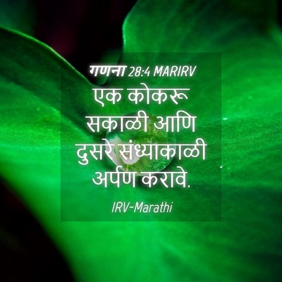 Picture 04 - गणना 28:4 MARIRV - एक कोकरू सकाळी आणि - Bible Verse Picture