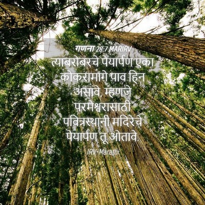 Picture 04 - गणना 28:7 MARIRV - त्याबरोबरचे - Bible Verse Picture