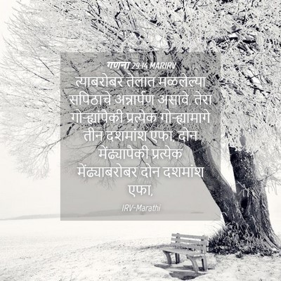 Picture 04 - गणना 29:14 MARIRV - त्याबरोबर तेलात - Bible Verse Picture