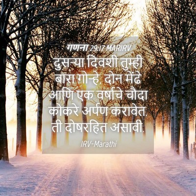 Picture 04 - गणना 29:17 MARIRV - दुसऱ्या दिवशी - Bible Verse Picture
