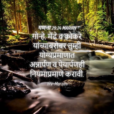 Picture 04 - गणना 29:24 MARIRV - गोऱ्हे, मेंढे व - Bible Verse Picture