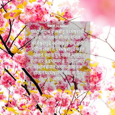 Picture 04 - गणना 3:4 MARIRV - परंतु नादाब व - Bible Verse Picture