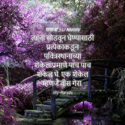 Picture 04 - गणना 3:47 MARIRV - त्यांना सोडवून - Bible Verse Picture