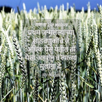 Picture 04 - गणना 3:48 MARIRV - प्रथम - Bible Verse Picture