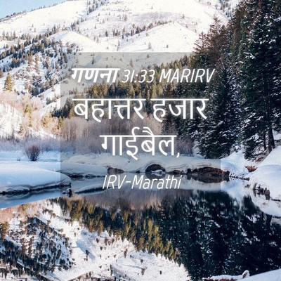 Picture 04 - गणना 31:33 MARIRV - बहात्तर हजार - Bible Verse Picture