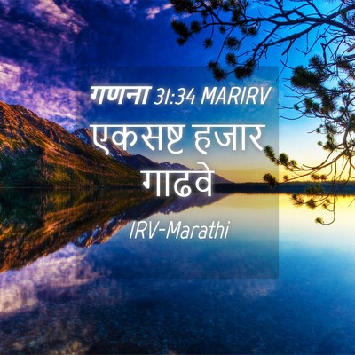 Picture 04 - गणना 31:34 MARIRV - एकसष्ट हजार - Bible Verse Picture