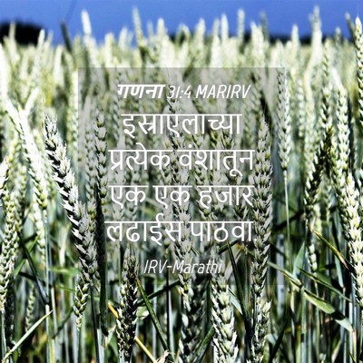 Picture 04 - गणना 31:4 MARIRV - इस्राएलाच्या - Bible Verse Picture