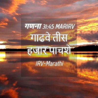 Picture 04 - गणना 31:45 MARIRV - गाढवे तीस हजार - Bible Verse Picture