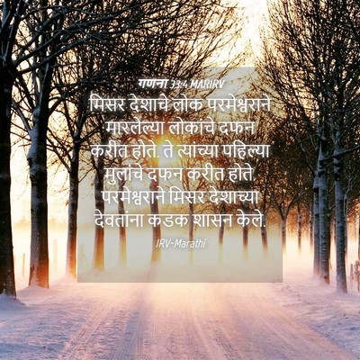 Picture 04 - गणना 33:4 MARIRV - मिसर देशाचे लोक - Bible Verse Picture
