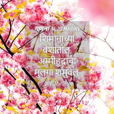 Picture 04 - गणना 34:20 MARIRV - शिमोनाच्या - Bible Verse Picture
