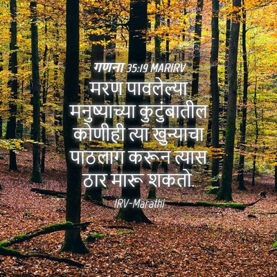 Picture 04 - गणना 35:19 MARIRV - मरण पावलेल्या - Bible Verse Picture
