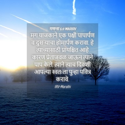 Picture 04 - गणना 6:11 MARIRV - मग याजकाने एक - Bible Verse Picture