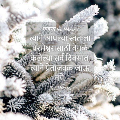 Picture 04 - गणना 6:6 MARIRV - त्याने आपल्या - Bible Verse Picture