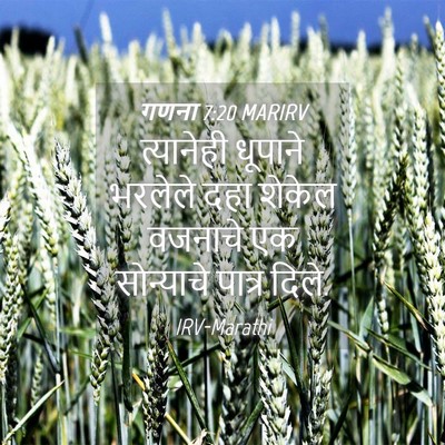 Picture 04 - गणना 7:20 MARIRV - त्यानेही धूपाने - Bible Verse Picture