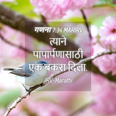 Picture 04 - गणना 7:34 MARIRV - त्याने - Bible Verse Picture