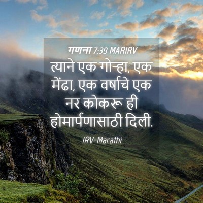 Picture 04 - गणना 7:39 MARIRV - त्याने एक गोऱ्हा, - Bible Verse Picture