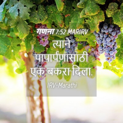 Picture 04 - गणना 7:52 MARIRV - त्याने - Bible Verse Picture