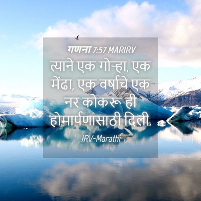 Picture 04 - गणना 7:57 MARIRV - त्याने एक गोऱ्हा, - Bible Verse Picture