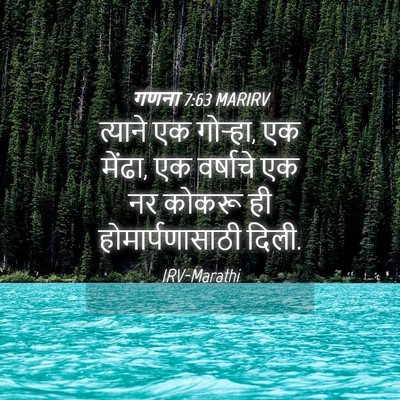 Picture 04 - गणना 7:63 MARIRV - त्याने एक गोऱ्हा, - Bible Verse Picture