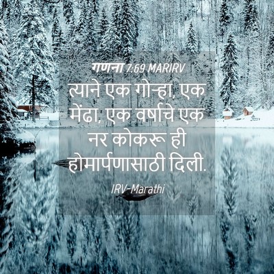 Picture 04 - गणना 7:69 MARIRV - त्याने एक गोऱ्हा, - Bible Verse Picture