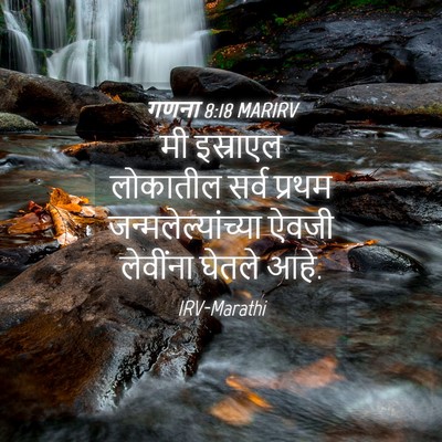 Picture 04 - गणना 8:18 MARIRV - मी इस्राएल - Bible Verse Picture