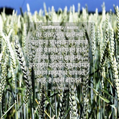 Picture 04 - गलतीकरांस 2:7 MARIRV - तर उलट सुंता - Bible Verse Picture