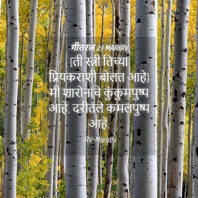 Picture 04 - गीतरत्न 2:1 MARIRV - (ती स्त्री तिच्या - Bible Verse Picture