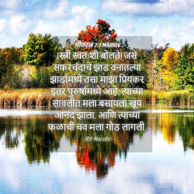 Picture 04 - गीतरत्न 2:3 MARIRV - (स्त्री स्वतःशी - Bible Verse Picture