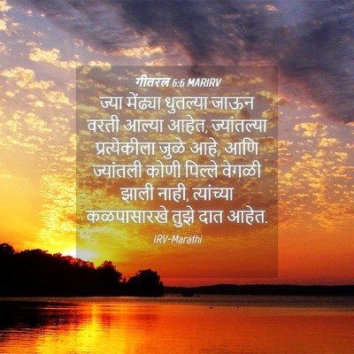 Picture 04 - गीतरत्न 6:6 MARIRV - ज्या मेंढ्या - Bible Verse Picture