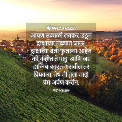 Picture 04 - गीतरत्न 7:12 MARIRV - आपण सकाळी लवकर - Bible Verse Picture