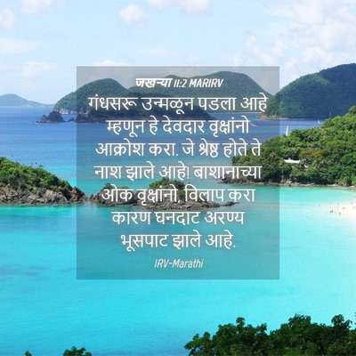Picture 04 - जखऱ्या 11:2 MARIRV - गंधसरू उन्मळून - Bible Verse Picture