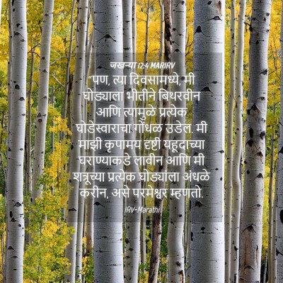 Picture 04 - जखऱ्या 12:4 MARIRV - “पण, त्या - Bible Verse Picture