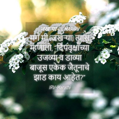 Picture 04 - जखऱ्या 4:11 MARIRV - मग मी (जखऱ्या) - Bible Verse Picture